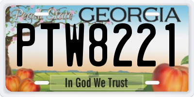 GA license plate PTW8221