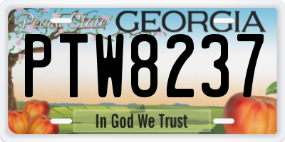 GA license plate PTW8237