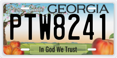 GA license plate PTW8241