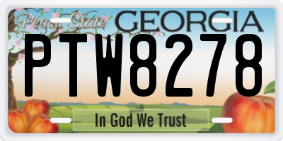 GA license plate PTW8278