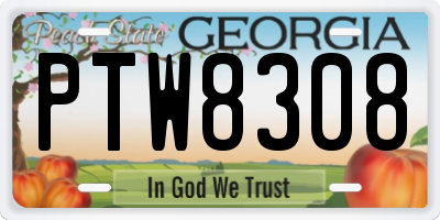 GA license plate PTW8308