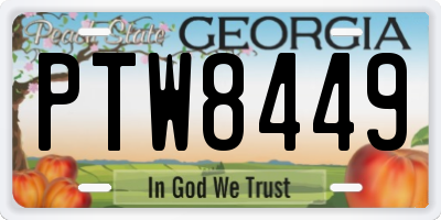 GA license plate PTW8449