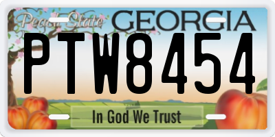 GA license plate PTW8454