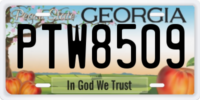 GA license plate PTW8509