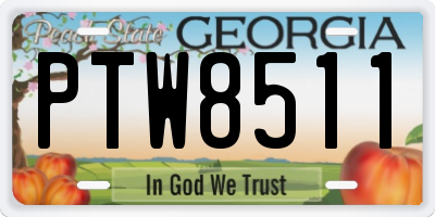 GA license plate PTW8511