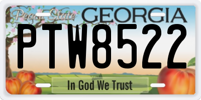 GA license plate PTW8522