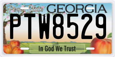 GA license plate PTW8529