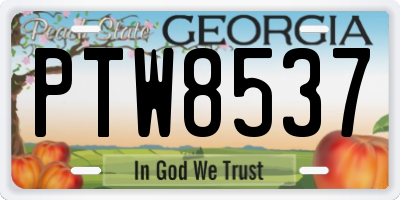 GA license plate PTW8537