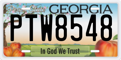 GA license plate PTW8548