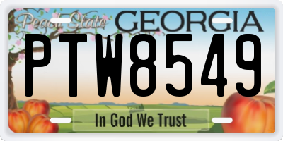GA license plate PTW8549