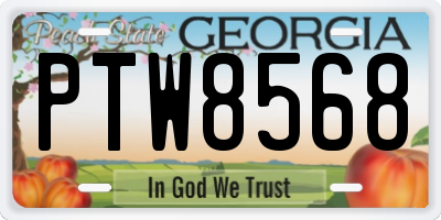 GA license plate PTW8568
