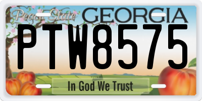 GA license plate PTW8575