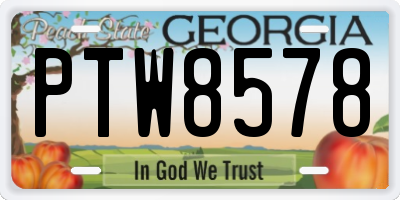 GA license plate PTW8578