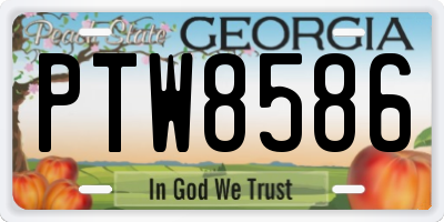 GA license plate PTW8586