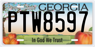 GA license plate PTW8597