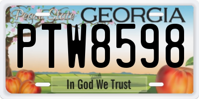 GA license plate PTW8598
