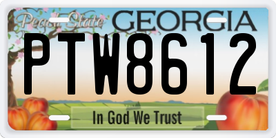 GA license plate PTW8612