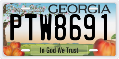 GA license plate PTW8691