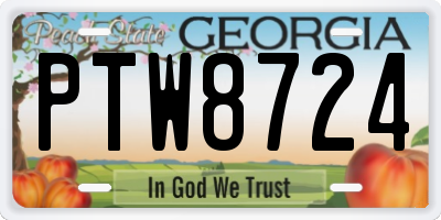 GA license plate PTW8724