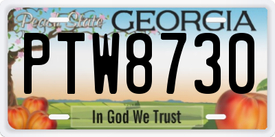 GA license plate PTW8730