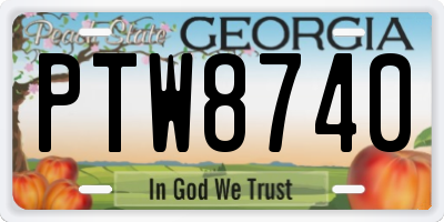 GA license plate PTW8740