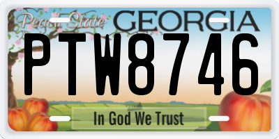 GA license plate PTW8746