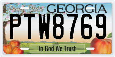GA license plate PTW8769