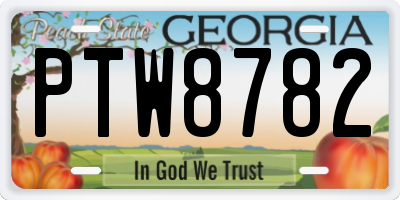 GA license plate PTW8782