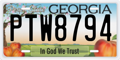 GA license plate PTW8794
