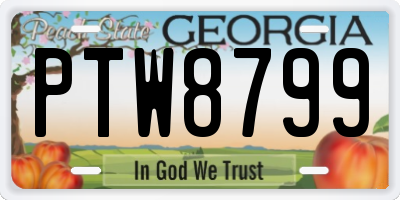 GA license plate PTW8799