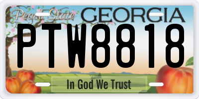 GA license plate PTW8818