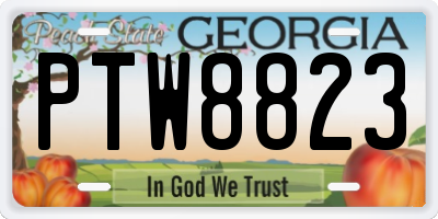 GA license plate PTW8823