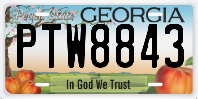 GA license plate PTW8843