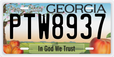 GA license plate PTW8937