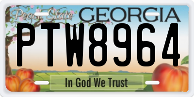 GA license plate PTW8964