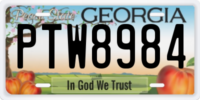 GA license plate PTW8984