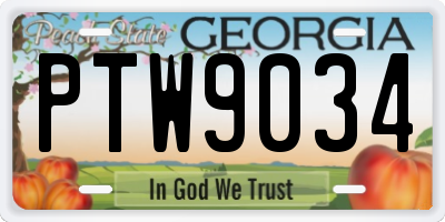 GA license plate PTW9034