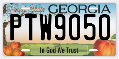GA license plate PTW9050
