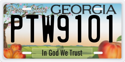 GA license plate PTW9101