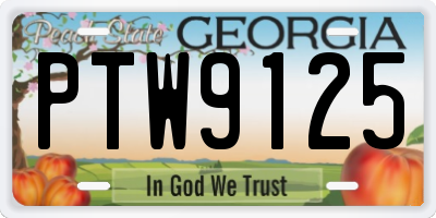 GA license plate PTW9125