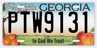 GA license plate PTW9131