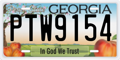 GA license plate PTW9154