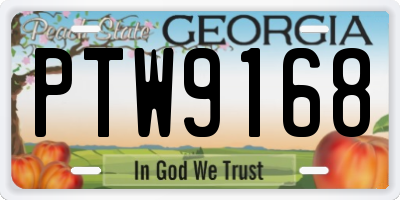 GA license plate PTW9168