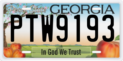 GA license plate PTW9193