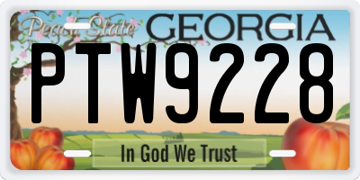 GA license plate PTW9228