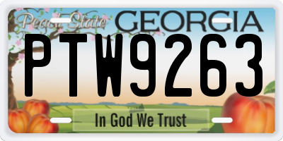 GA license plate PTW9263