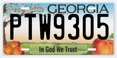 GA license plate PTW9305