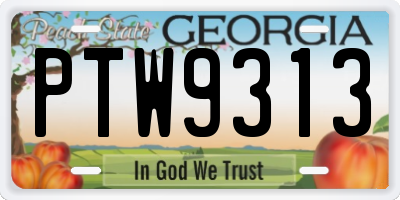 GA license plate PTW9313