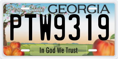 GA license plate PTW9319