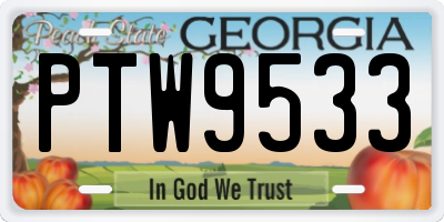GA license plate PTW9533